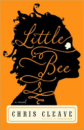 Book club discussion questions-Little Bee by Chris Cleave