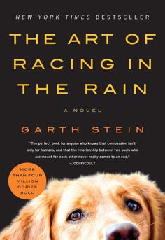 Cover of The Art of Racing in the Rain by Garth Stein, featuring Enzo the golden dog and bold yellow typography