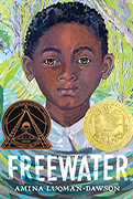 Award Winning Book - Winner of the John Newbery Medal - Freewater by Amina Luqman-Dawson