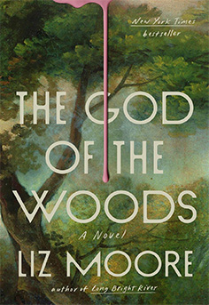 Book cover of The God of the Woods by Liz Moore  a chilling literary mystery set in the Adirondacks