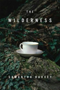 The Wilderness